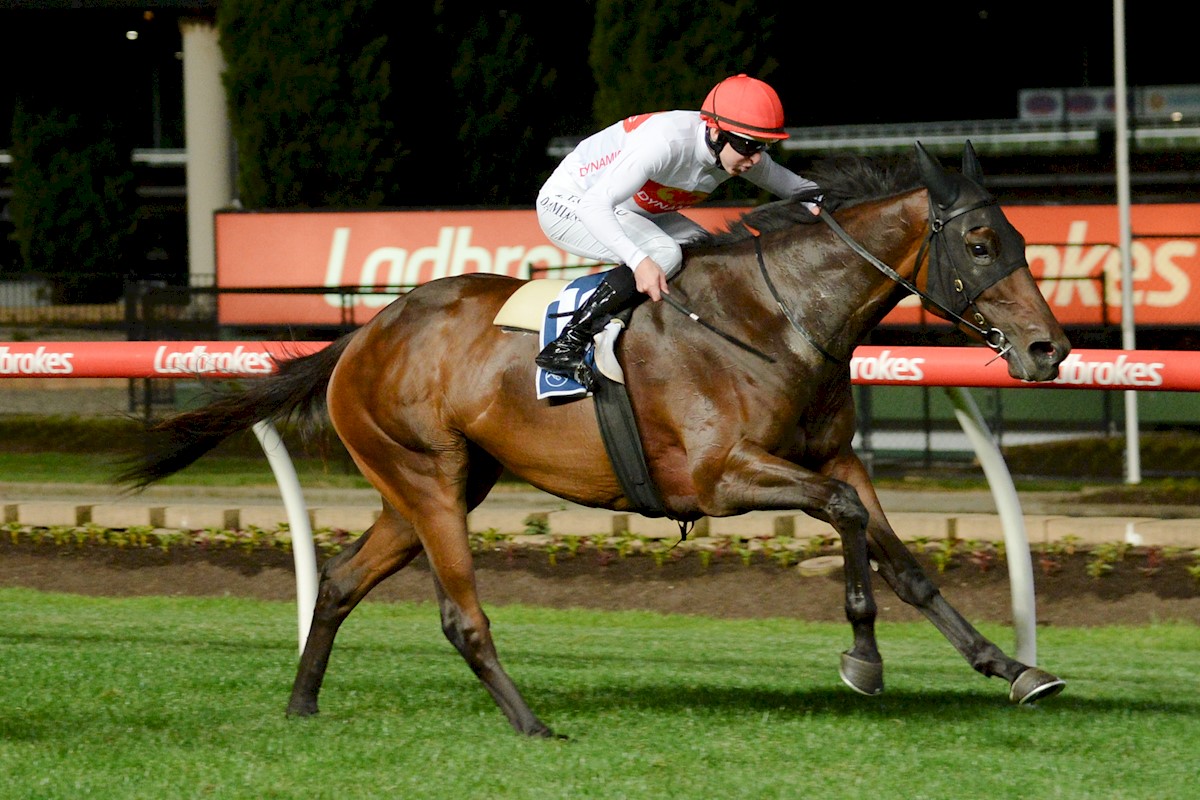 Vinaceous & Damian Lane prove too strong over 2040m at The Valley